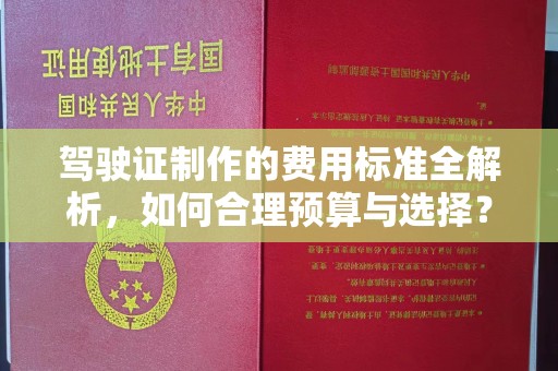 双台子驾驶证制作的费用标准全解析，如何合理预算与选择？